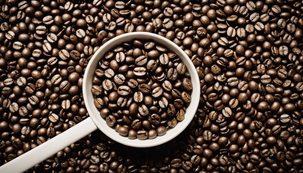 Comment le terroir influence la saveur des grains de café : guide des origines majeures